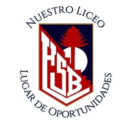 Liceo Bicentenario Hnos. Sotomayor