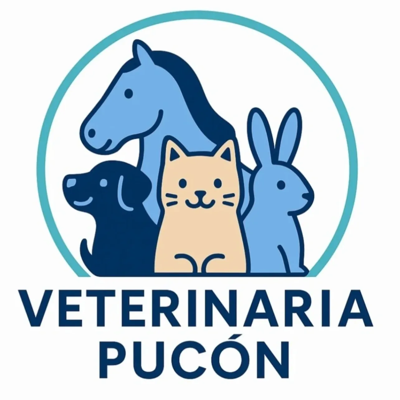 Veterinaria Pucón